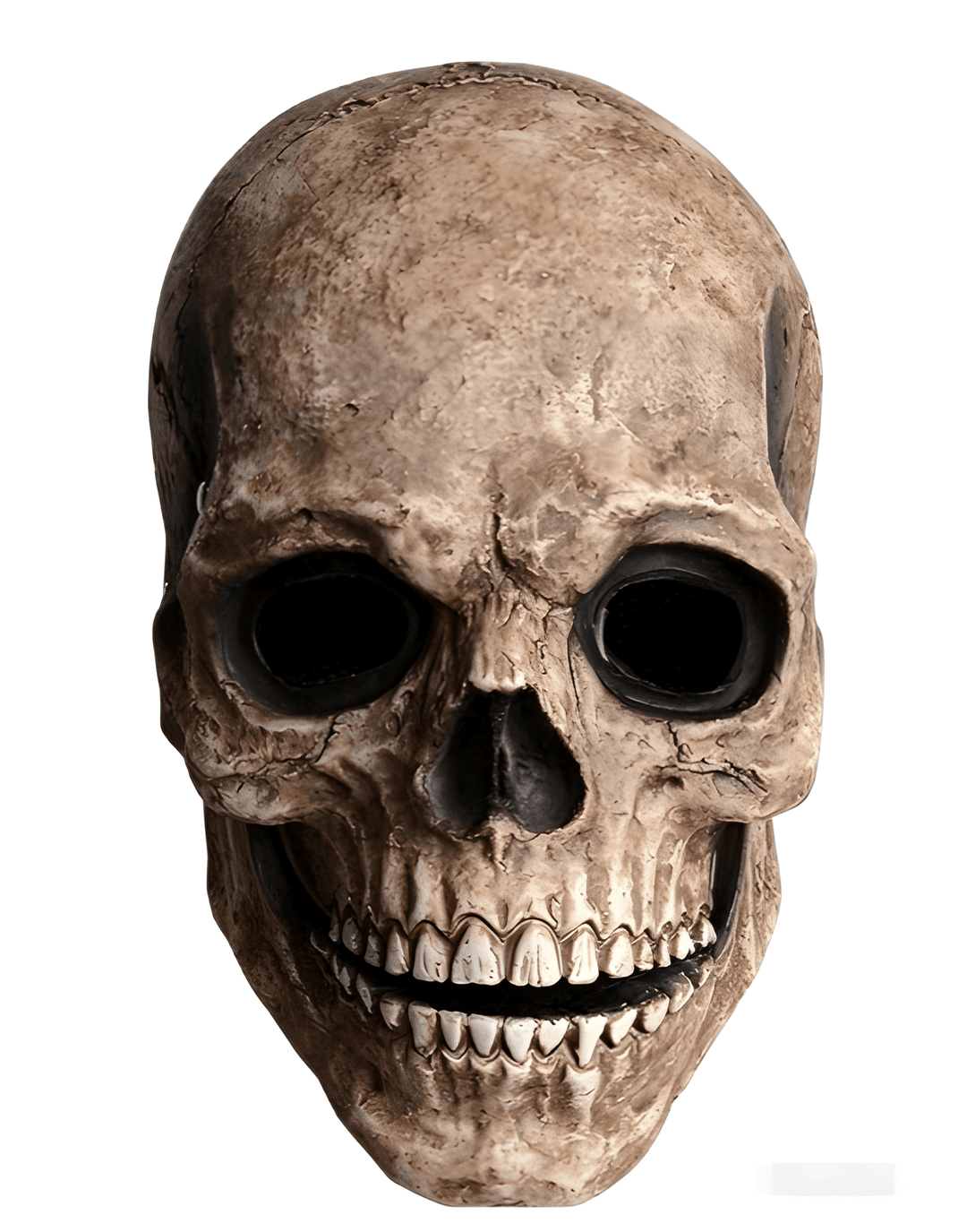 Halloween Skull Mask with Movable Jaw Full Head Latex - brown